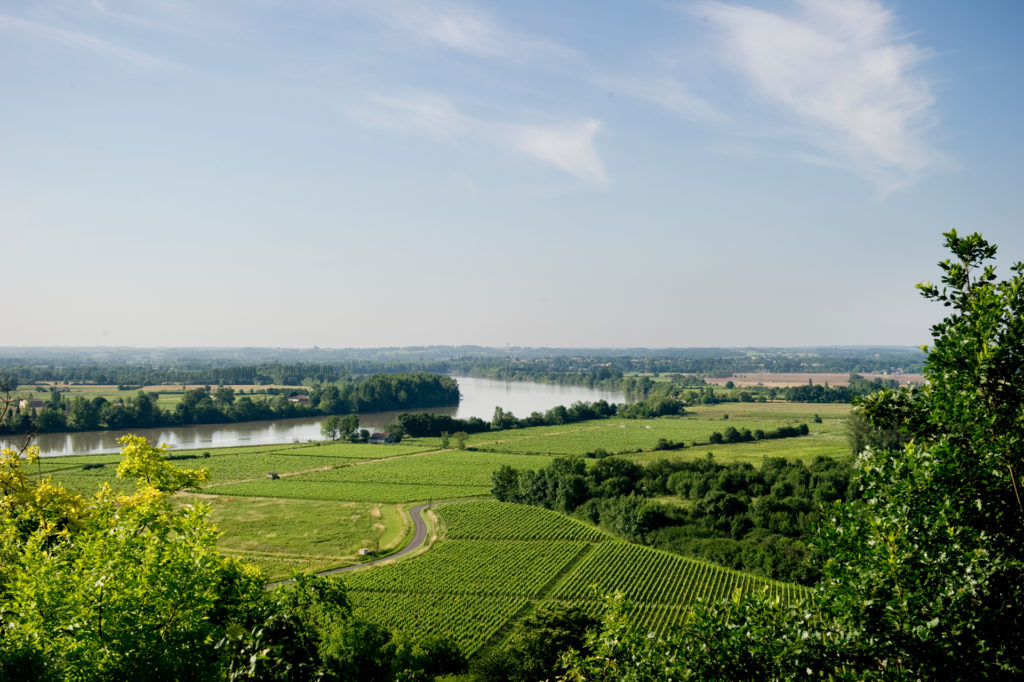 Vue sur les vignes