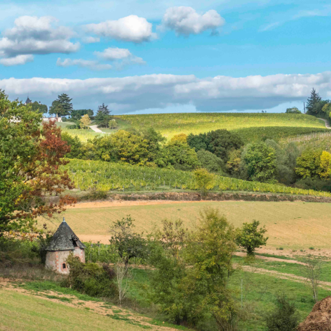 Château de Suronde