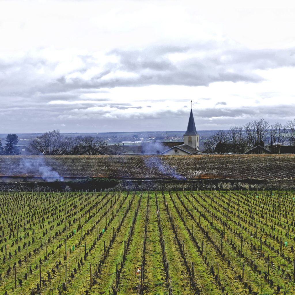 Les Héritiers Saint Genys