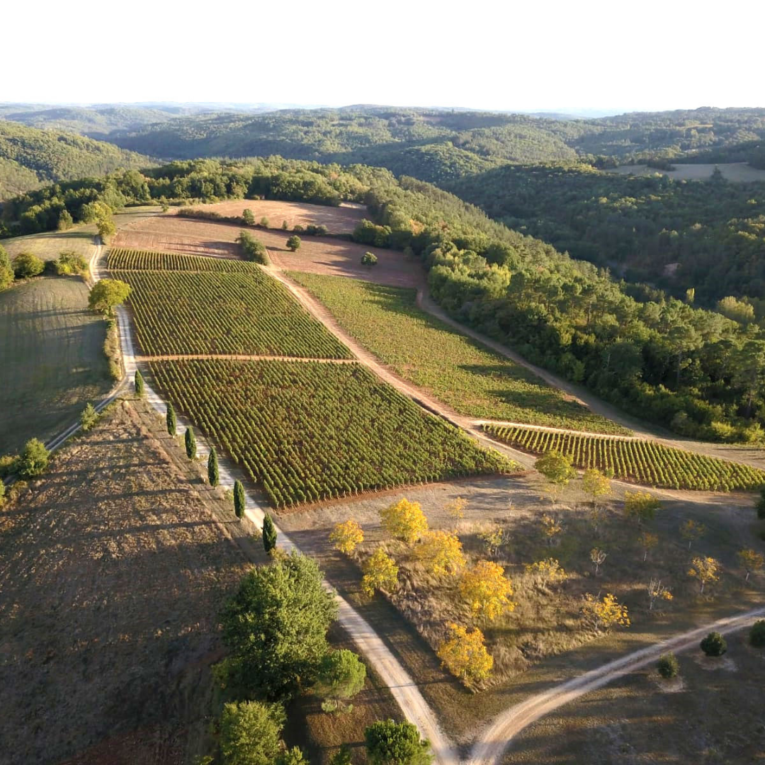 Dolmen - Domaine Belmont