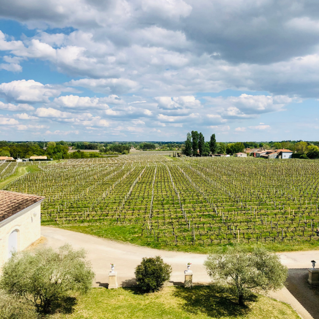 Le terroir du Château Gigault