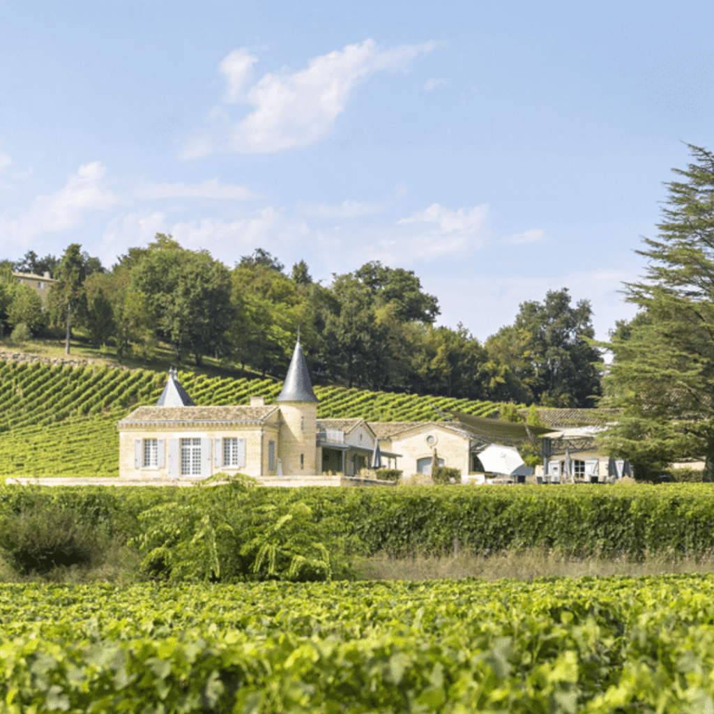 Le terroir du Château de Candale