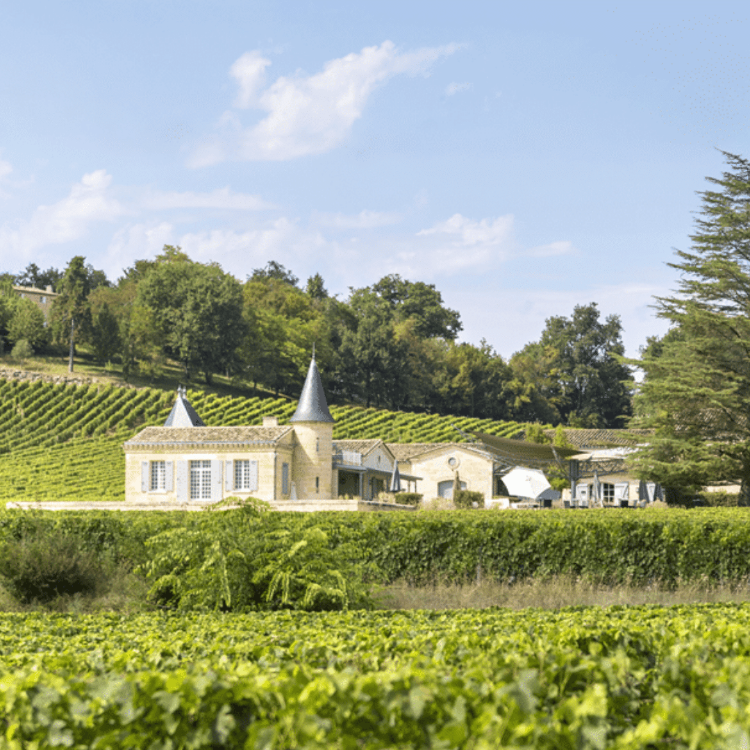 Le terroir du Château de Candale