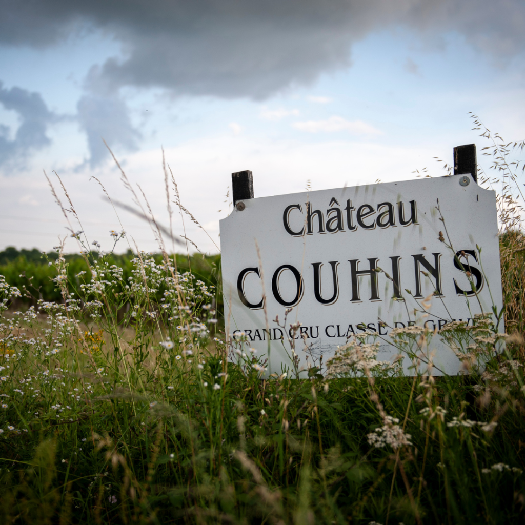 Le vignoble du Château Couhins
